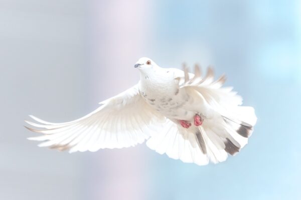 Kind en anderen